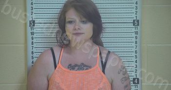 DICKENS, DELANA D | 2021-07-08 20:36:00 Taylor County, Kentucky Booking