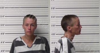 GIBSON, ROSE MARIA | 2021-07-08 Kerr County, Texas Booking