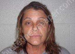 GLENNA JAMES | 2021-07-10 01:25:00 Lincoln County, Tennessee Booking