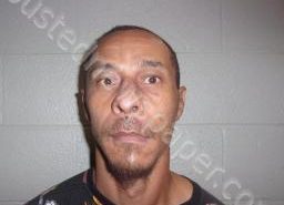 ANTHONY WILSON | 2021-07-10 23:50:00 Lincoln County, Tennessee Booking