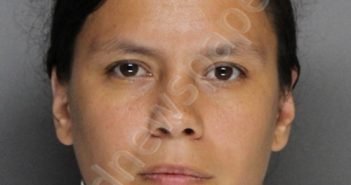 CAMARILLO, MARY | 2021-07-12 02:25:00 Ellis County, Texas Booking