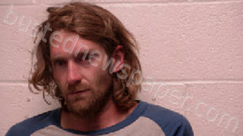 LEE, RANDALL WAYNE #, Robertson County, Tennessee - 2021-07-12 17:19:00