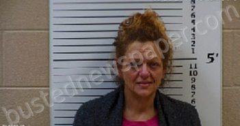 KIRKLAND, TINA LYNN | 2021-07-12 17:27:00 Cherokee County, North Carolina Booking