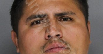 REYES, JOSE IVAN | 2021-07-12 03:09:00 Ellis County, Texas Booking