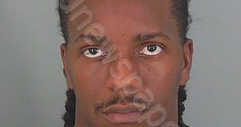 AARON MICHAEL DAVIS | 2021-07-13 13:24:06 Spartanburg County, South Carolina Booking