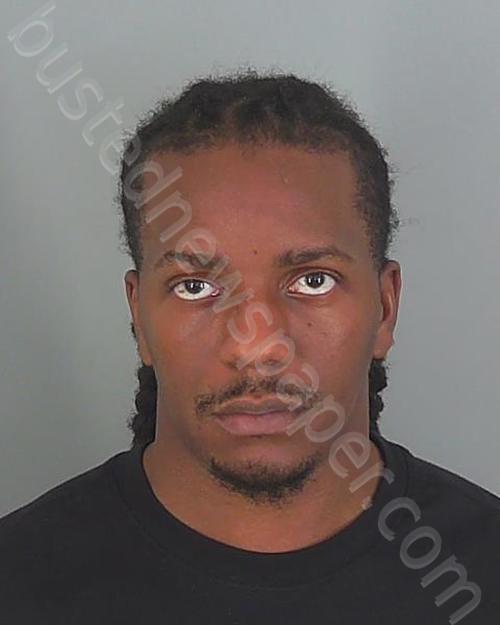 AARON MICHAEL DAVIS #, Spartanburg County, South Carolina - 2021-07-13 13:24:06