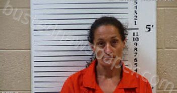 JENKINS, ERICA RAE | 2021-07-13 17:10:00 Cherokee County, North Carolina Booking