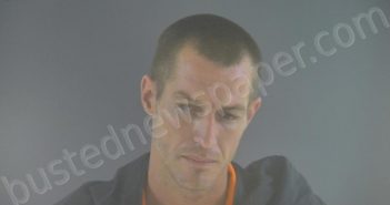 ELKINS, BRANDON MATTHEW | 2021-07-14 21:10:00 Bedford County, Virginia Booking