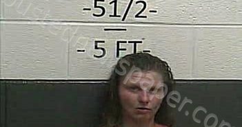 COLDIRON, VIRGIE | 2021-07-14 21:03:00 Whitley County, Kentucky Booking