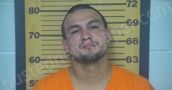 BOCANEGRA, NICHOLAS FRANCISCO | 2021-07-14 04:16:00 Ottawa County, Ohio Booking