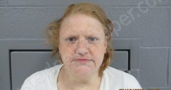 RECKART, AMANDA LUCINDA | 2021-07-16 16:30:00 Preston County, West Virginia Booking