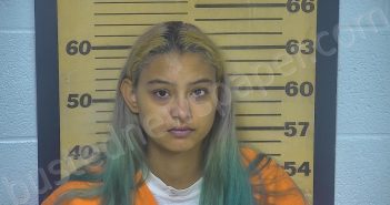 SOLER, IVY M. | 2021-07-16 14:23:00 Ottawa County, Ohio Booking