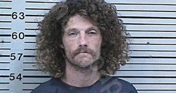 WILLIAMS, ROBERT BRETT | 2021-07-17 23:35:50 Hood County, Texas Booking