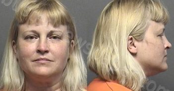 DILLEY,MICHELLE ELIZABETH | 2021-07-19 23:32:00 Saline County, Kansas Booking