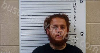 MOGROVEJO, ERIC FRANCO | 2021-07-19 00:30:00 Cherokee County, North Carolina Booking