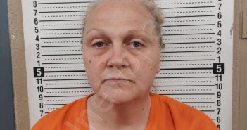 CHILDERS, LORETTA L | 2021-07-20 17:19:00 Scott County, Missouri Booking