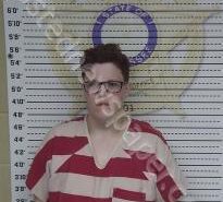 <B>ANTHONY</B> <B>EDWARDS</B> #, Mcminn County, Tennessee - 2021-07-20 16:45:00