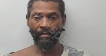 WILSON, LESTER CHARLES | 2021-07-20 18:46:00 Talladega County, Alabama Booking