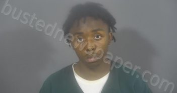 HERRON, EMANUEL JERMAINE | 2021-07-21 20:54:00 St. Joseph County, Indiana Booking
