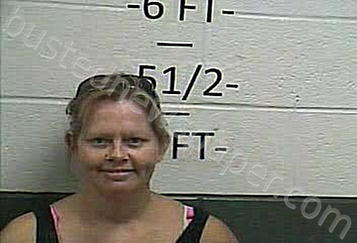HALCOMB, NICOLE R #, Whitley County, Kentucky - 2021-07-22 23:15:00