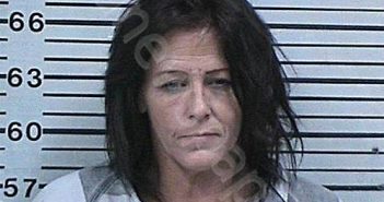MURRELL, TINA DIANE | 2021-07-23 03:17:50 Hood County, Texas Booking