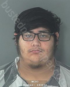 HERNANDEZ, BRYAN BARTOLO | 2021-07-24 22:11:49 Montgomery County, Texas Booking