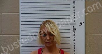 PHILLIPS, ANGELA MARIE | 2021-07-25 20:02:00 Cherokee County, North Carolina Booking
