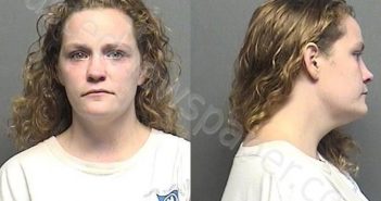 HOGAN,DIEDRE JANE | 2021-07-25 00:40:00 Saline County, Kansas Booking