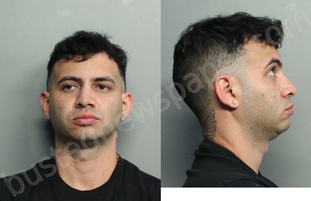 MESTRE, LUIS ERNESTO #, Miami-Dade County, Florida - 2021-07-25 03:40:00