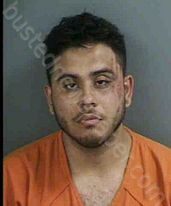 ACEVEDO,ENRIQUE | 2021-07-25 Collier County, Florida Booking