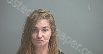HARVEY MINDY KAY | 2021-07-27 Sandusky County, Ohio Booking
