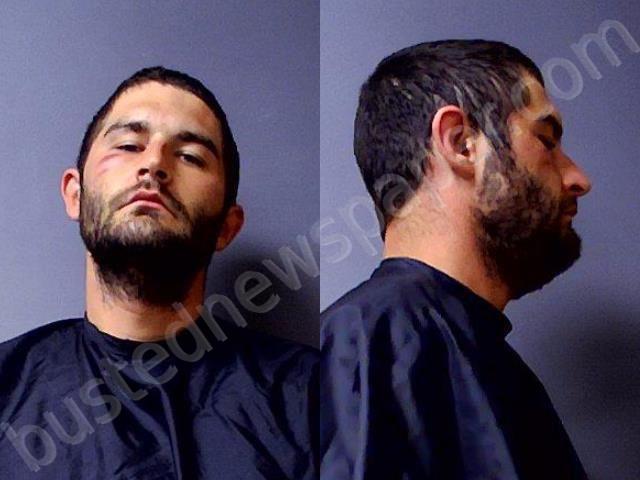FOSTER, SHAUN MICHAEL #, Madison County, Indiana - 2021-07-28 02:03:00