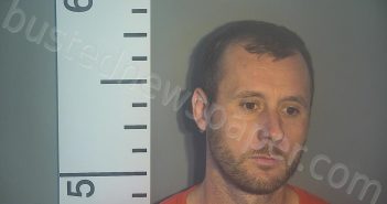 COX, HARLEY EVANS | 2021-07-28 17:05:00 Nelson County, Kentucky Booking