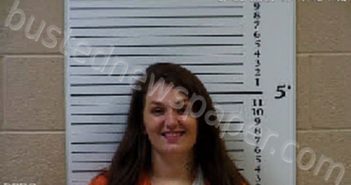 BRYANT, HALEY RASHAE | 2021-07-29 17:08:00 Cherokee County, North Carolina Booking