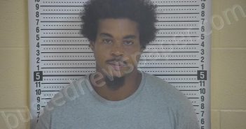 JOHNSON, RUSSELL | 2021-07-30 19:28:00 Taylor County, Kentucky Booking