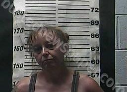 JERRIE DAVIS | 2021-07-30 00:06:00 Cocke County, Tennessee Booking