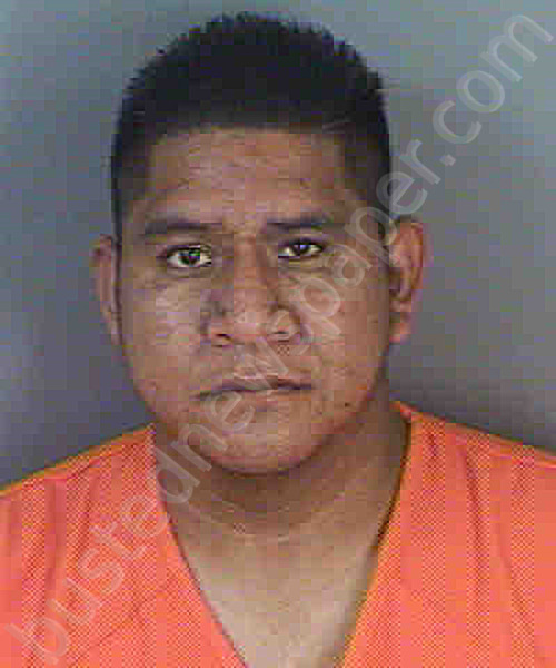VASQUEZ-RAMIREZ,PEDRO #, Collier County, Florida - 2021-07-31