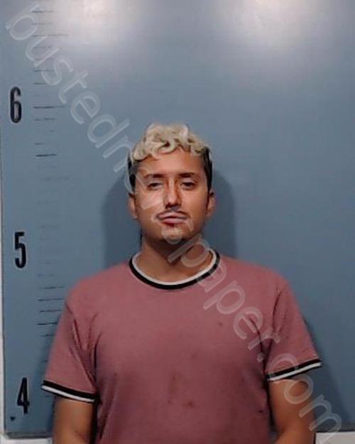 HINOJOSA, JACOB CHARLES #, Taylor County, Texas - 2021-08-01