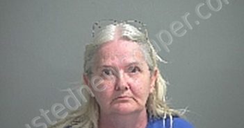 WIESE KATHLEEN | 2021-08-02 Sandusky County, Ohio Booking