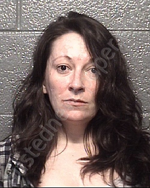 HOLLAND, JESSICA IVA JEAN #, Danville PD, Virginia - 2021-08-04