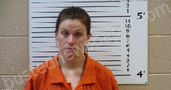 GARLAND, LACY BREANNA | 2021-08-04 23:17:00 Cherokee County, North Carolina Booking