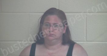 CARR, MARTHA ANN | 2021-08-06 12:08:00 Webster County, Kentucky Booking