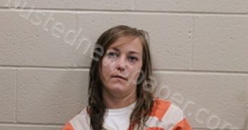 AMBER MARIE BRANT | 2021-08-06 17:00:00 Andrew County, Missouri Booking