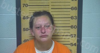 BOWMAN, ANNA NICOLE | 2021-08-07 05:46:00 Ottawa County, Ohio Booking