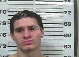 COLLIN VESTAL | 2021-08-07 11:58:00 Gibson County, Tennessee Booking