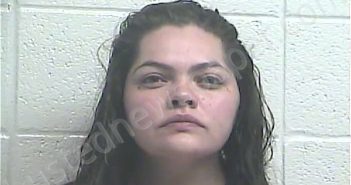 REYES-AYALA, VANESSA | 2021-08-08 03:46:00 Jessamine County, Kentucky Booking