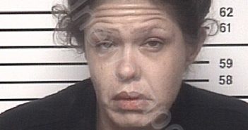 <B>STARKEY</B>, <B>MIRANDA</B> <B>ROBYN</B> #, Iredell County, North Carolina - 2021-08-08 13:20:00
