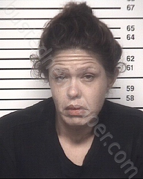 STARKEY, MIRANDA ROBYN #, Iredell County, North Carolina - 2021-08-08 13:20:00