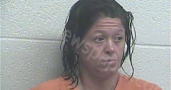 VAUGHN, WENDY LEIGH | 2021-08-08 03:19:00 Jessamine County, Kentucky Booking