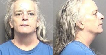 CONSTABLE,MICHELLE LEE | 2021-08-08 07:40:00 Saline County, Kansas Booking